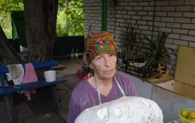 Настала друга хвиля грибів дощовиків