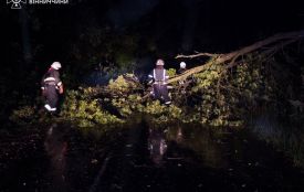 Вночі вирувала негода — повалило дерева у нашому районі і не тільки