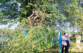 У Пустосі провели толоку на кладовищі. Прибирали два дні поспіль