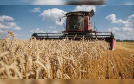 Аграрії Вінниччини збирають рекордний урожай: вже понад 750 тисяч тонн зерна