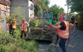 У Козятинській громаді вивозили сміття, ремонтували освітлення та косили траву