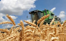 Рекордний урожай на Вінниччині: аграрії зібрали 2,4 млн тонн зерна