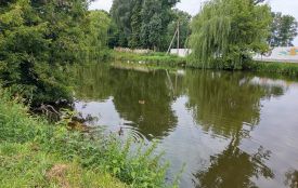 Юшка на вогні, тибетські чаші і змагання з риболовлі: стало відомо, що готують на фестиваль «Сомик»