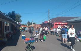 Всі Іванківці в соняшнику і олія дорога, а от лохина 415 і раки по 700 це вже дно