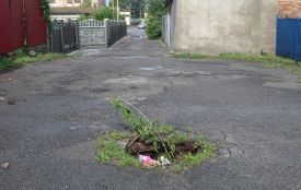 Без води не проблема, свинство біля залізниці і на дорозі та Козак замість «Yanmara»