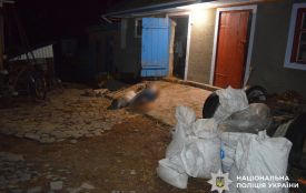 Десятки експертиз та гвинтівка у лісі. Довели вину підозрюваного, який три роки тому скоїв вбивство