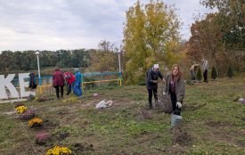 Біля стели «Я люблю Бродецьке» розквітла нова краса