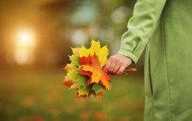 Історія, традиції та заборони 31 жовтня