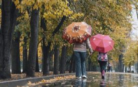 Будуть невеликі дощі, але тепло, як для листопада