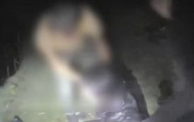 Крики з-під мосту уночі. Що сталося в парку Хмільника? (ВІДЕО)