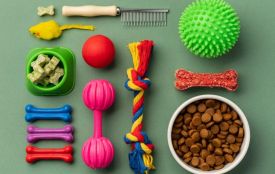 Якісні товари для тварин: ТОП-асортимент BestPet для турботливих власників (Новини компаній)