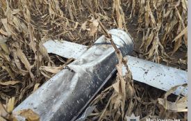 У кукурудзяному полі на Вінниччині знайшли уламки ворожих дронів та ракет. Їх знешкодили