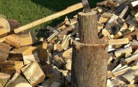 Можна безкоштовно отримати дрова. Куди звертатися?