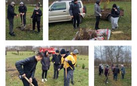 Біля лікарні у Самгородку висадили перші 10% майбутнього парку