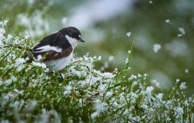 Синоптики назвали найхолодніший день тижня