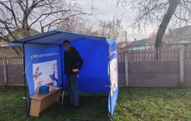 Маня, Кошмар, Альта тепер у безпеці. Як на «тій стороні» Козятина безкоштовно вакцинували тварин