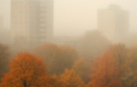 Жовтий рівень небезпечності в області через густу мряку та зниження видимості