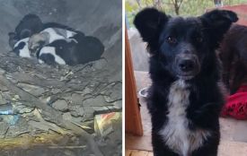 «Це вчинок людини з великим серцем»