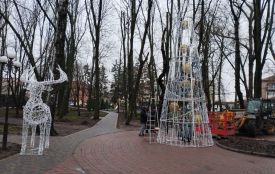 Фото дня. У парку Козятина встановлюють новорічну ялинку