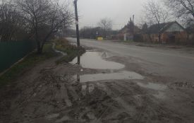 «Болота там, якщо сказати по-народному, то по коліна»