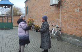 Молилися за воїнів, їли солодощі та розповідали, чому вони ходять до церкви Покрови