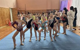 Масштабні змагання з художньої гімнастики пройшли цими вихідними у Козятині