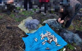 Наловили риби на 173 тисячі гривень. У нашому районі впіймали браконьєрів