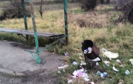 «Сидіння віджили своє, цвяхи витягуються руками і ви хочете, щоб тут не смітили?»