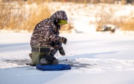Перша крига та «сонна» риба: поради для рибалок на грудень