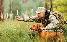 Обережно в лісах: у районі починають відстріл хижаків через загрозу сказу