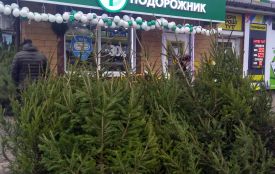 Суперова баранина, риба з азербайджанського моря та молоко з сірниками