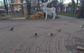 «Наш міський парк гарний та є не вирішені питання безпеки громадян»