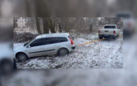 На автодорозі «Білопілля-Вівсяники» водій «Renault» з’їхав у кювет