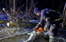 Вітер валив дерева на траси