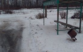 «Нам треба вчитися у харків’ян, їх кожен день бомблять і у них срачів немає»