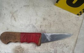 Застілля переросло у злочин: чоловік поранив гостя ножем