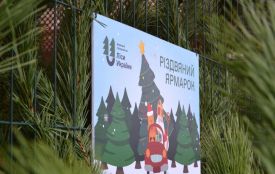 Понад 7 тисяч ялинок і понад мільйон гривень виторгу: підсумки свят на Вінниччині
