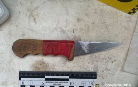 Різанина у райцентрі. Під час п'яної сварки господар вдарив свого гостя кухонним ножем у шию