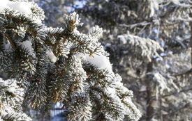 Сонце світитиме, але не грітиме: детальний прогноз погоди на найближчі п’ять днів