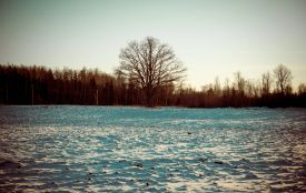 Сьогодні вітаємо Марка й Оксану. Історія, заборони та прикмети 18 січня