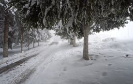 Історія, заборони та прикмети 23 січня