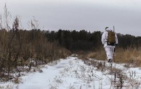 Постріли у лісах Козятинщини: лісівники попередили про велике полювання