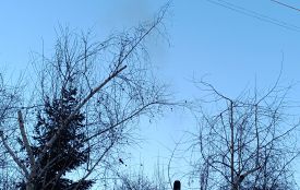 Тепер не лише «Чисте місто» і «Козятинбуд»: під кінець минулого року у нас з’явився новий постачальник тепла