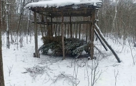 У лісі нашого району зафіксували сліди оленя, кабана і зайця