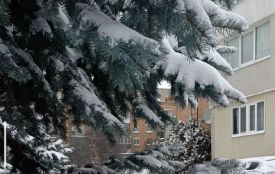 Вінниччину накрив антициклон зі Скандинавії