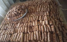 «Печу багато, то духовка вже на межі, ще трохи тримає м’ясорубка»