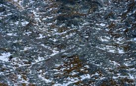 Відлига з «хімічним» присмаком: як дорожня сіль нищить екологію Вінниччини