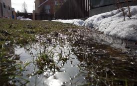 Вінниччину прогріє до +10, але синоптики просять не розслаблятися