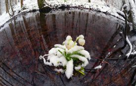 День штурманів та річниця заявки до ЄС: чим запам’ятається 28 лютого в історії