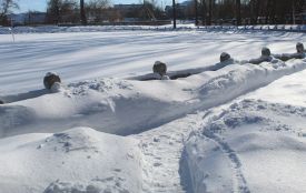 Енергетики на вишці, лижні спогади та собаче свавілля